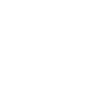 zoom icon